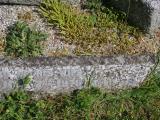 image of grave number 796805